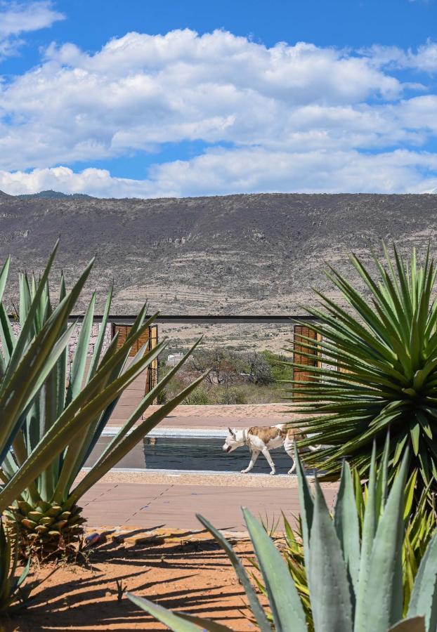Hotel Casa Regina Oaxaca San Pablo Villa de Mitla Exterior foto